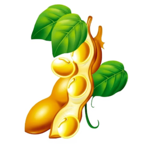 豆角-豆角v4.0.3安卓版APP下载