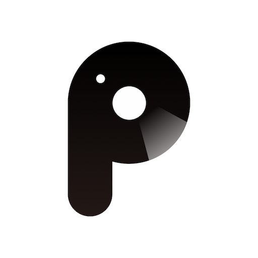 P2 Pro-P2 Prov1.0.5.221025安卓版APP下载