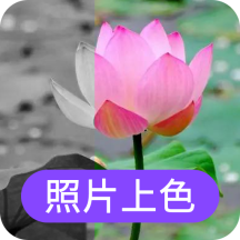 照片上色-照片上色v22.9.28安卓版APP下载