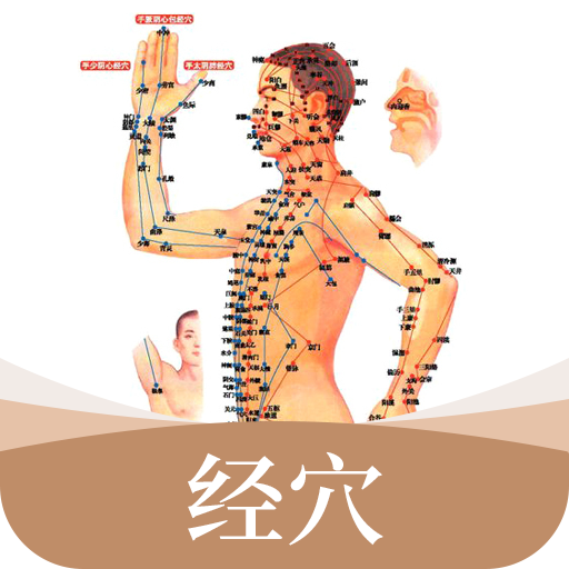 经络穴位-经络穴位v1.1安卓版APP下载