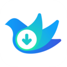 云雀idm网页视频下载器-云雀idm网页视频下载器v16.56安卓版APP下载