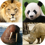 动物小测验（Animal Quiz）-动物小测验（Animal Quiz）v3.6.0安卓版APP下载
