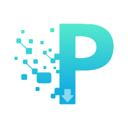 P2P下载器-P2P下载器v1.1.0安卓版APP下载