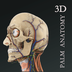 掌上3D解剖-掌上3D解剖v2.2.0安卓版APP下载