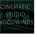 Cinematic Studio Woodwinds v1.68-Cinematic Studio Woodwinds v1.68免费下载