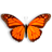 全屏蝴蝶飞舞动态壁纸Butterfly On Desktop v1.92-全屏蝴蝶飞舞动态壁纸Butterfly On Desktop v1.92免费下载