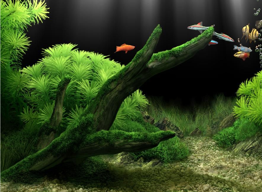 Dream Aquarium(梦幻水族馆) v1.9-Dream Aquarium(梦幻水族馆) v1.9免费下载