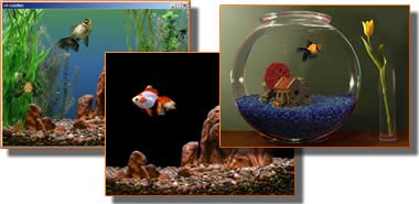 Goldfish Aquarium v1.3-Goldfish Aquarium v1.3免费下载