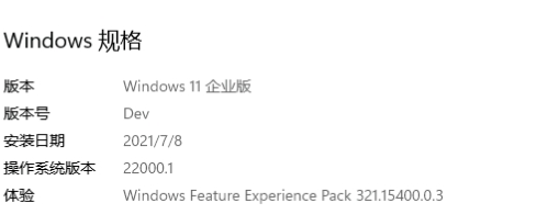 Windows11企业版 v22000.5下载