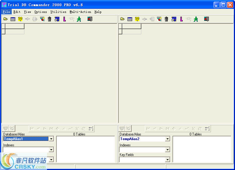 DB Commander 2000 Pro v6.10-DB Commander 2000 Pro v6.10免费下载