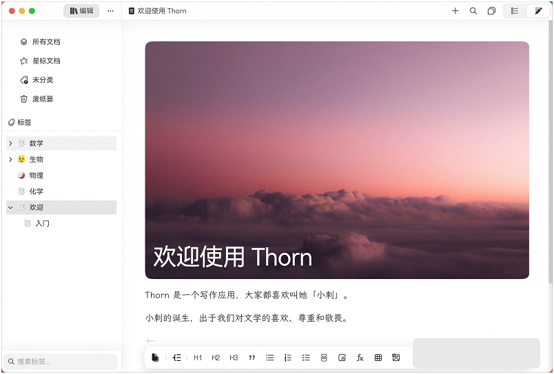 Thorn写作 v0.1.41-Thorn写作 v0.1.41免费下载