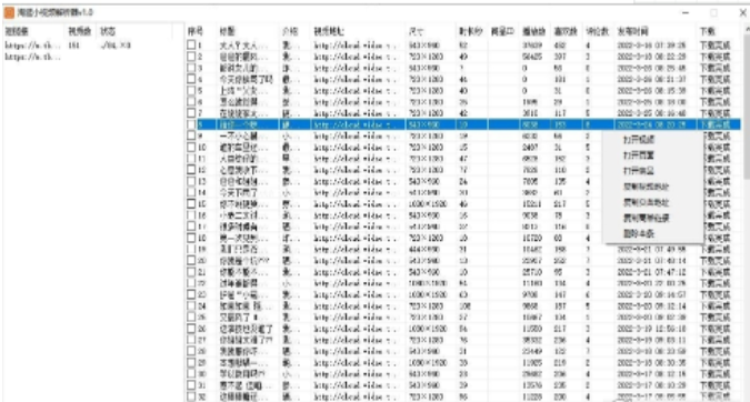 淘逛小视频解析器PC版 v1.2下载