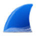 Wireshark抓包分析工具 v3.6.7