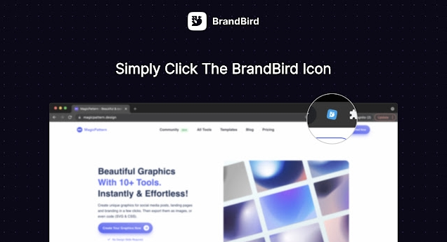 BrandBird网页截图扩展 v0.0.5下载