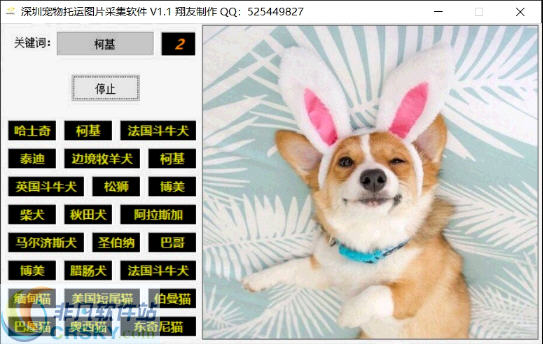 深圳宠物托运图片采集软件 v1.4-深圳宠物托运图片采集软件 v1.4免费下载