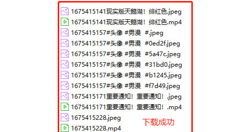 聚合短视频解析 v1.1下载