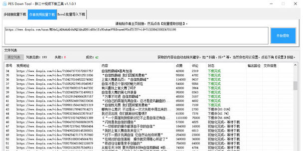 胖二十视频下载工具 v2.2下载