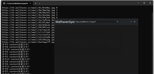 WallhavenSpider v2023.7.31下载