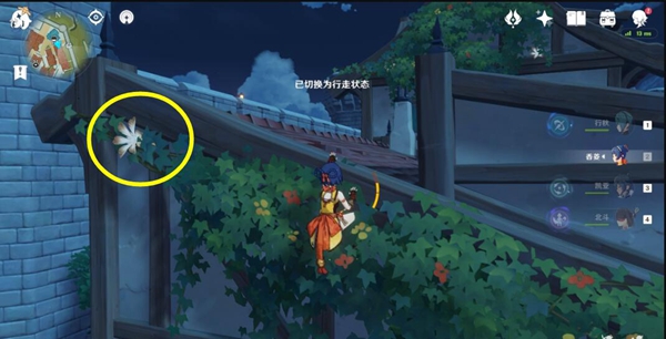 慕风蘑菇在哪里采摘