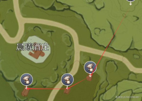 慕风蘑菇在哪里采摘
