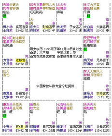 紫微斗数在线排盘免费算命