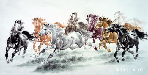 几月出生的马最苦