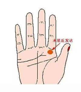 女人富贵命罕见手相