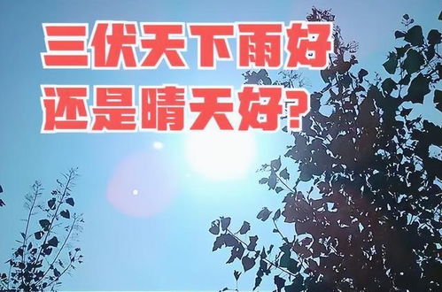 7月15日是什么日子