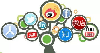 五行齐全有多可怕