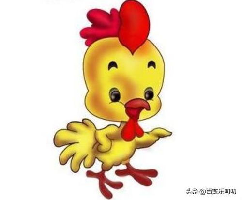 1981年属鸡的是什么命