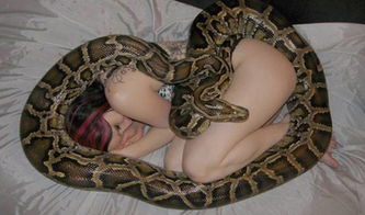 女人梦见蛇是好事还是坏事