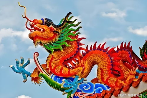 88年的龙在2024年躲不过的灾