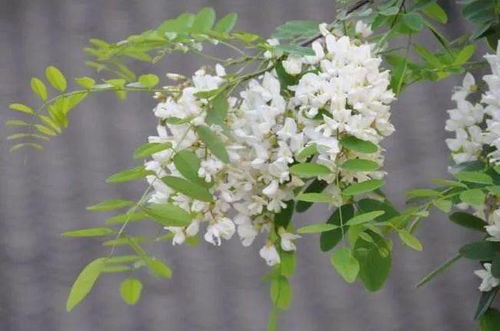 周文王神卦太准了