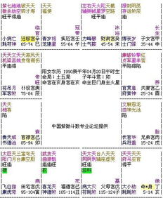 紫微斗数在线排盘详解