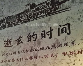 今天的日子适合做什么