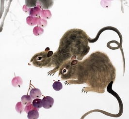 1996属鼠最佳婚配