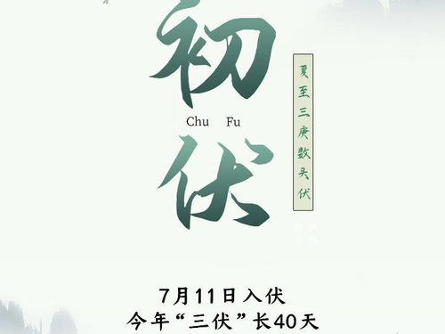 7月11日是什么日子