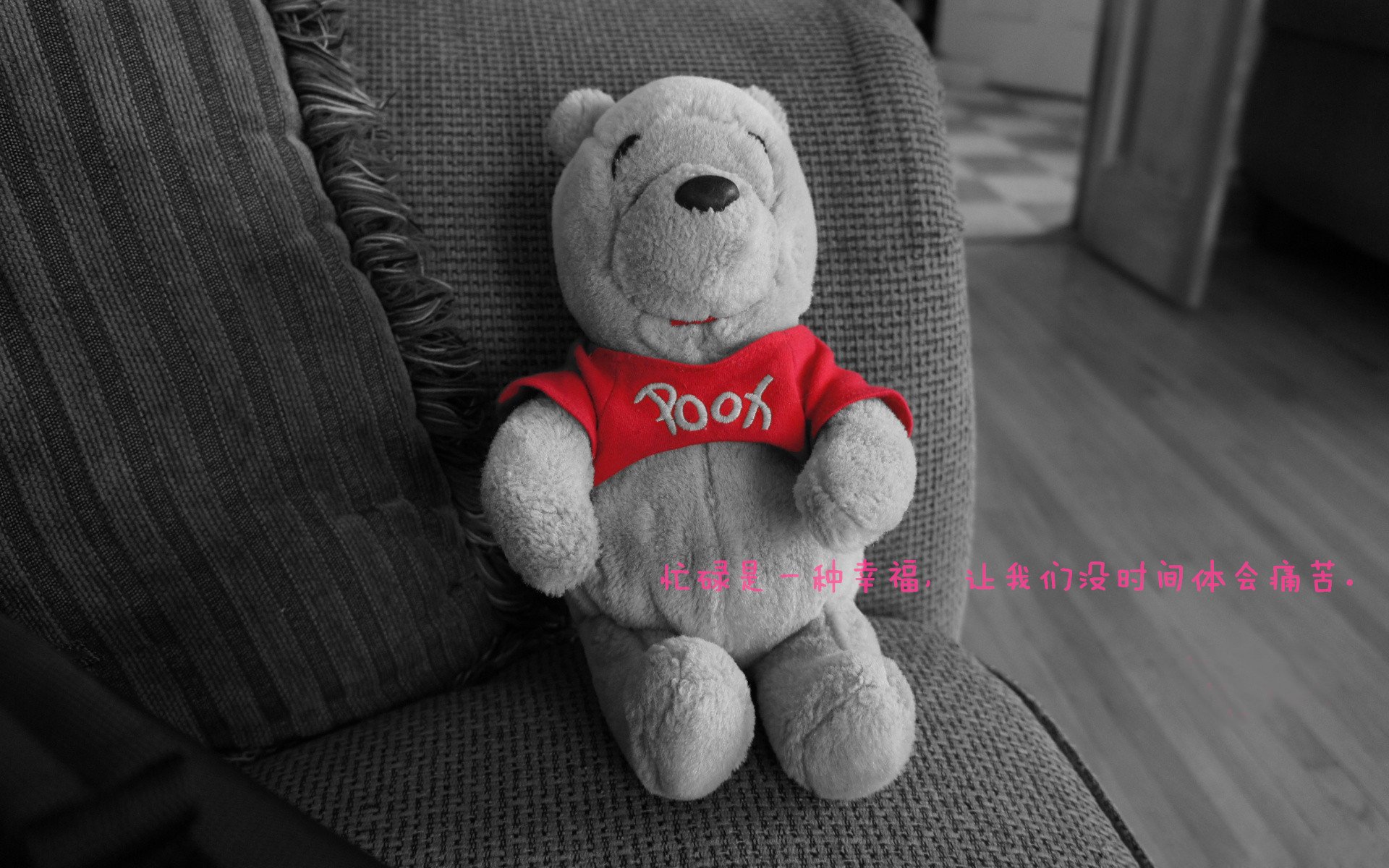 Switch商店购买指南