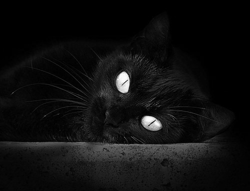 "龙生九子"的下一句是什么