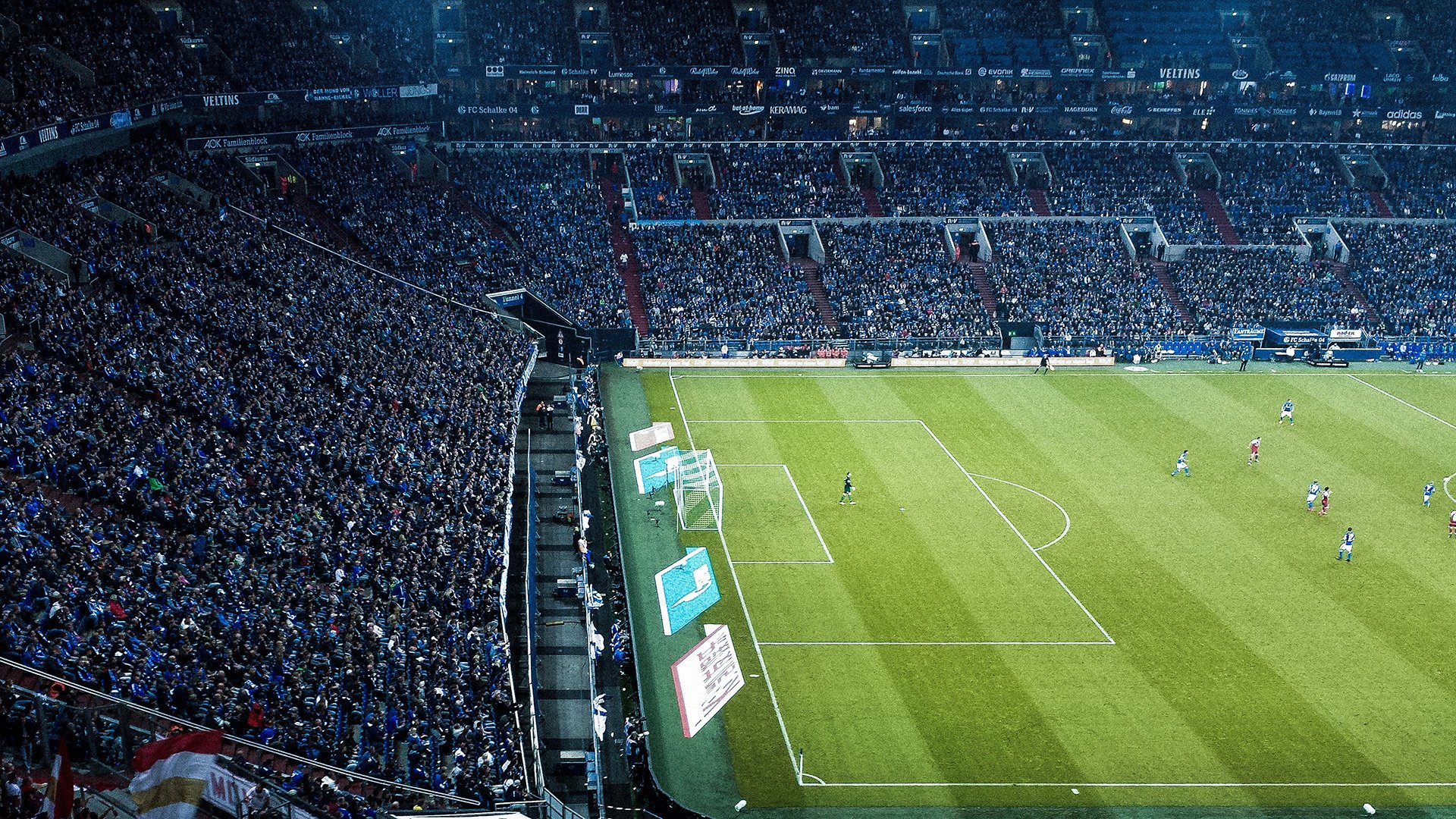 "警花与警犬樱桃的死亡真相"