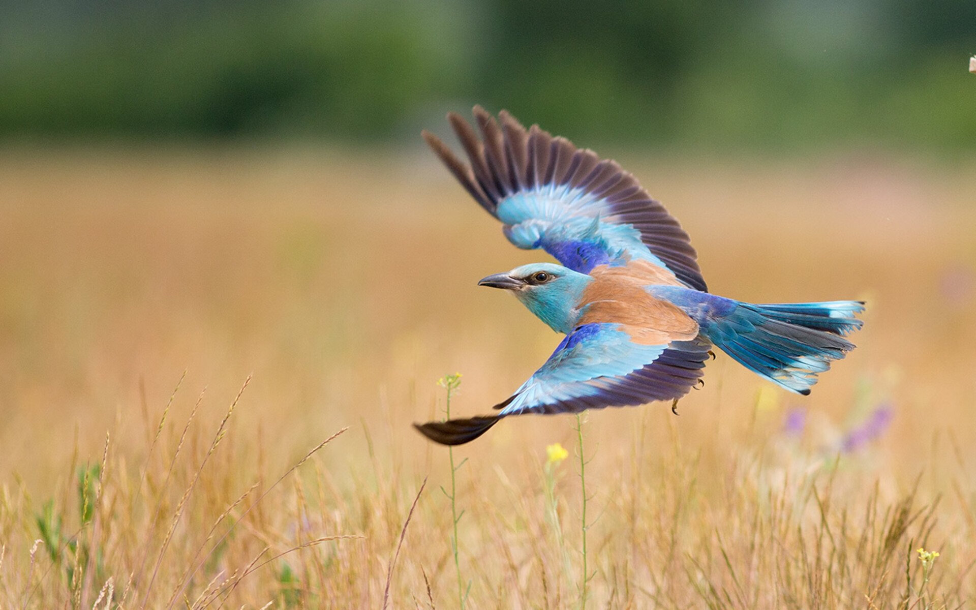 如何与摩羯座女生愉快聊天