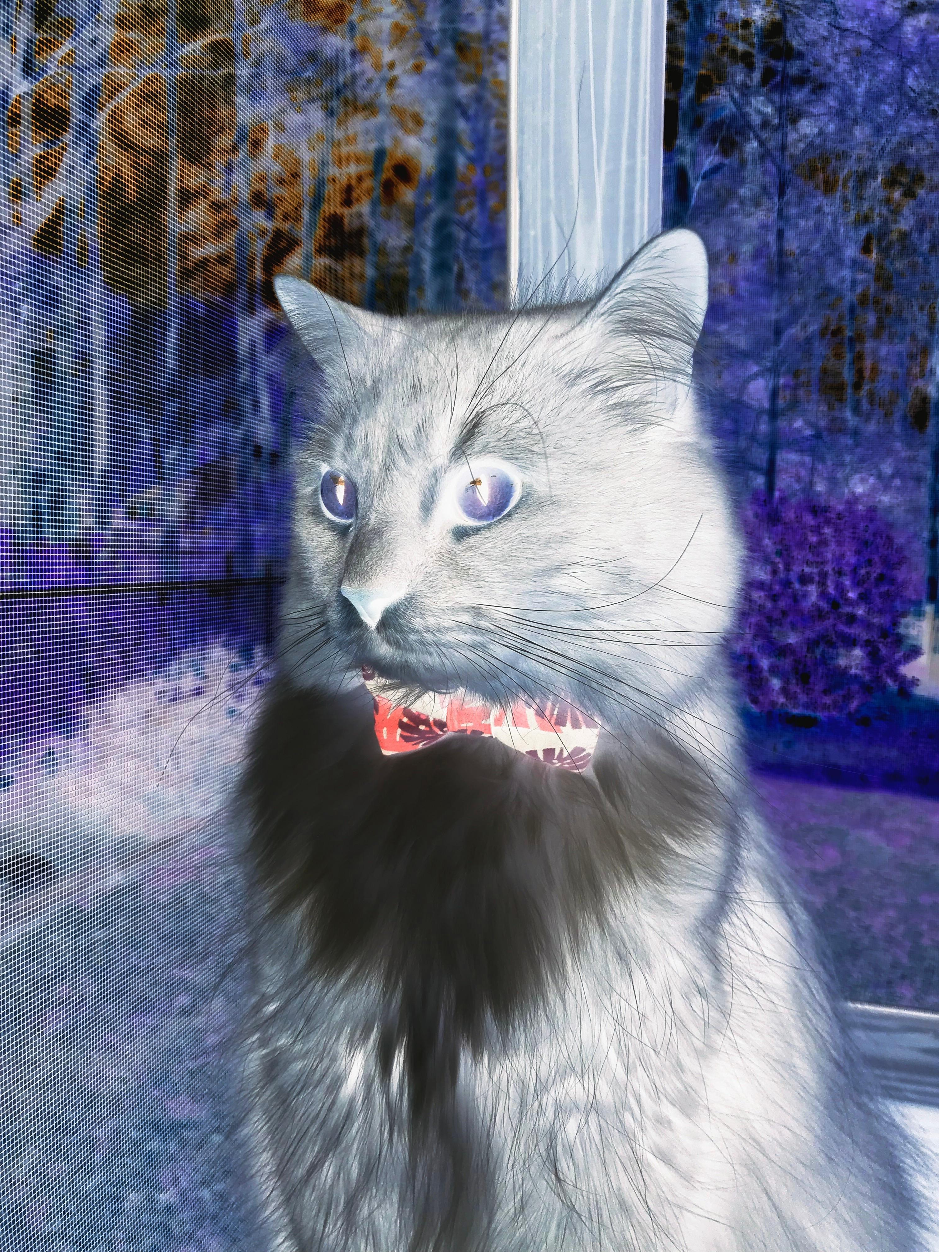 酒盒DIY灯笼制作教程