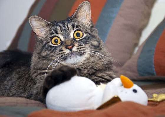 追忆往昔的含义