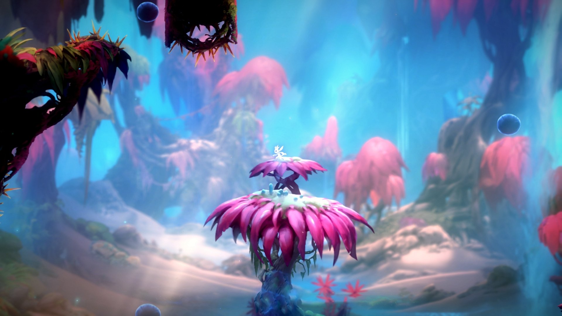 优雅聚财的网名精选