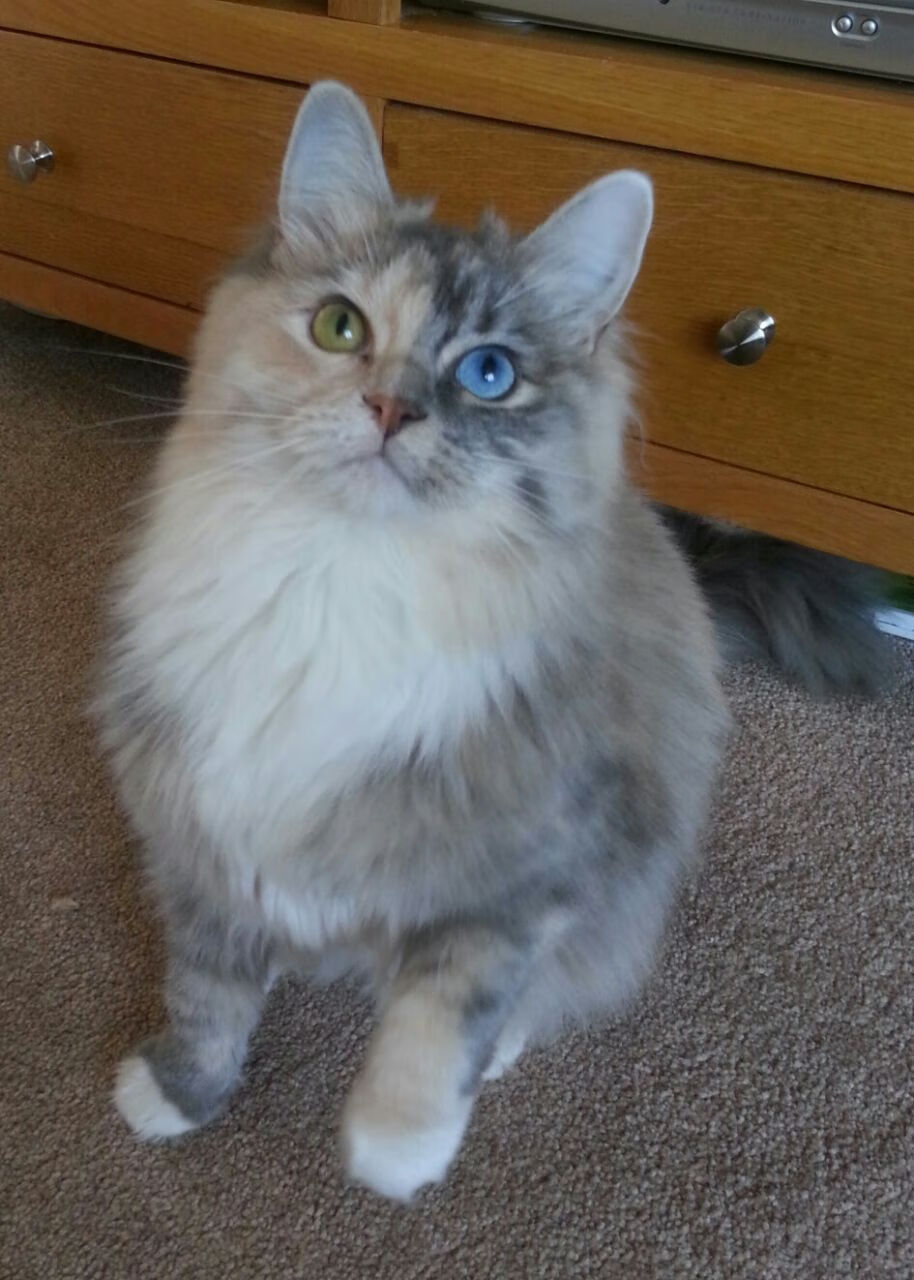 四川射洪县经济发展现状如何