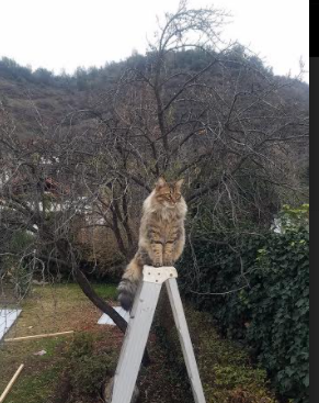 如何配置电脑IP地址