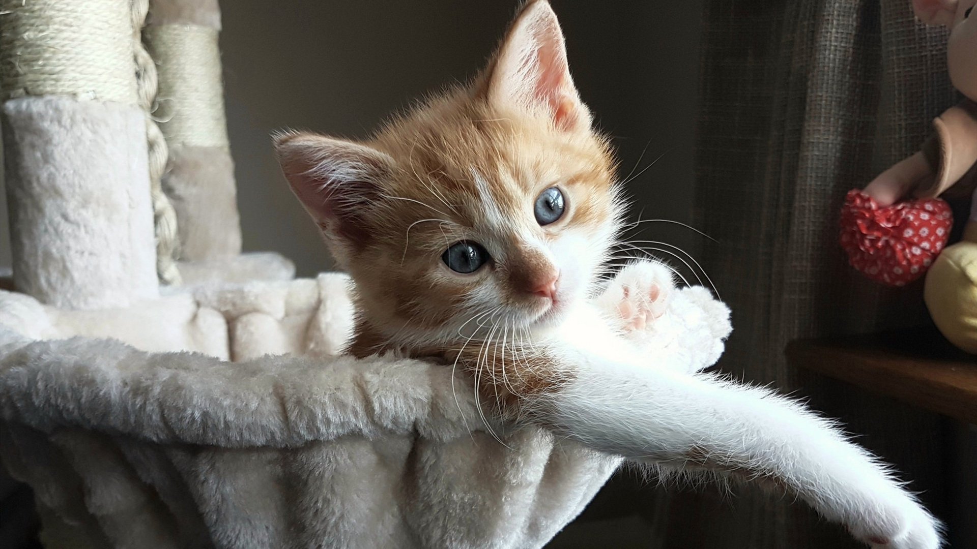 "逗号刘海是否需要烫发"