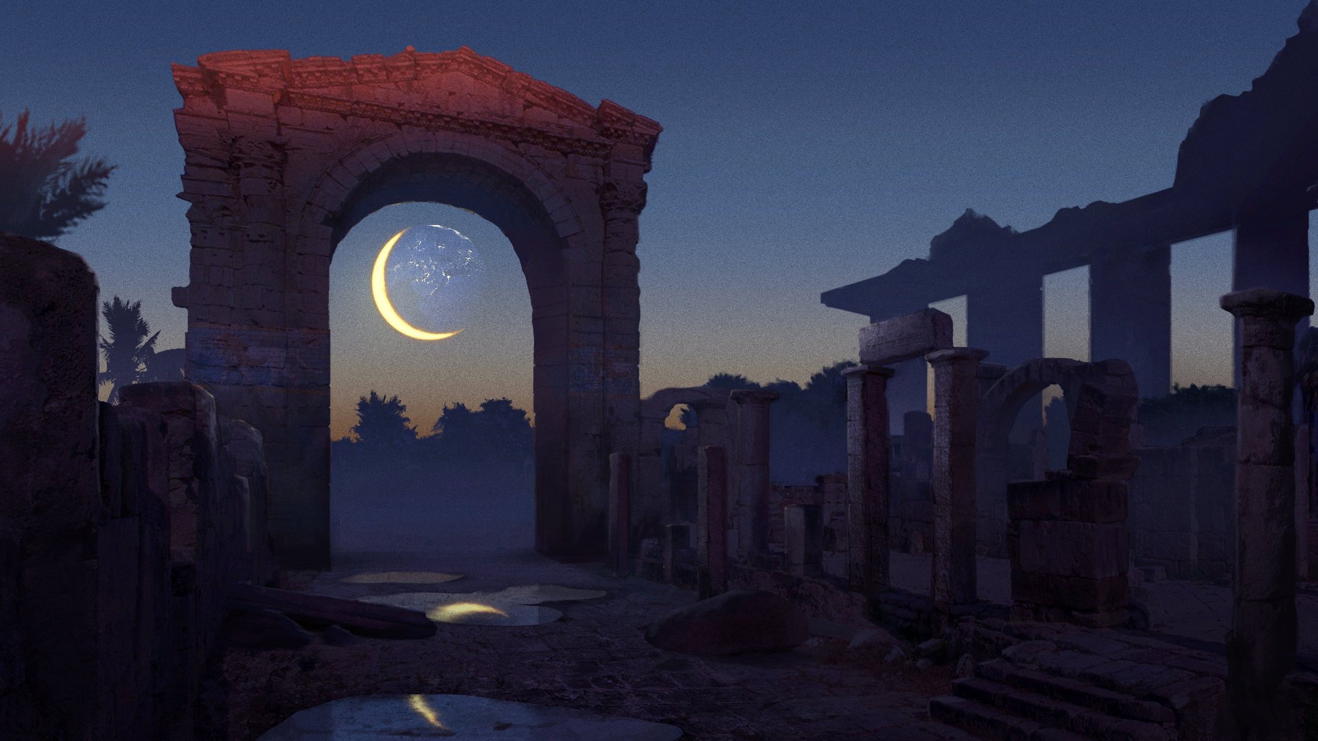 金边玫瑰与普通玫瑰的差异对比