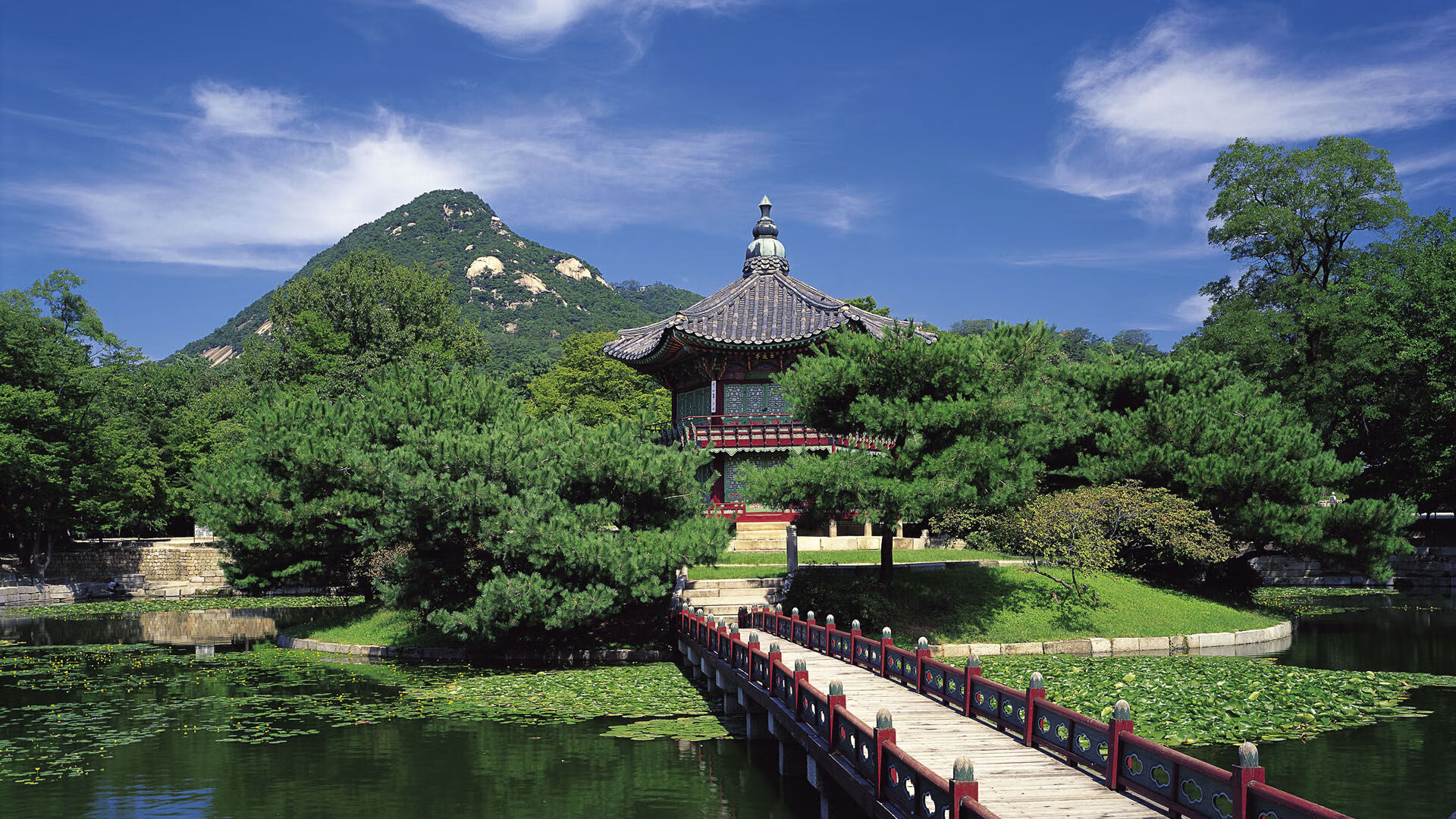 "鲫鱼垂钓口诀：解锁水下黄金钓点技巧"