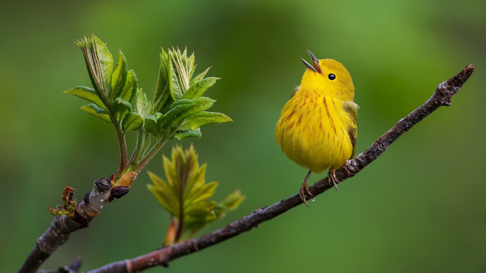 中国石油大学（北京）创新创业教育及成果评析